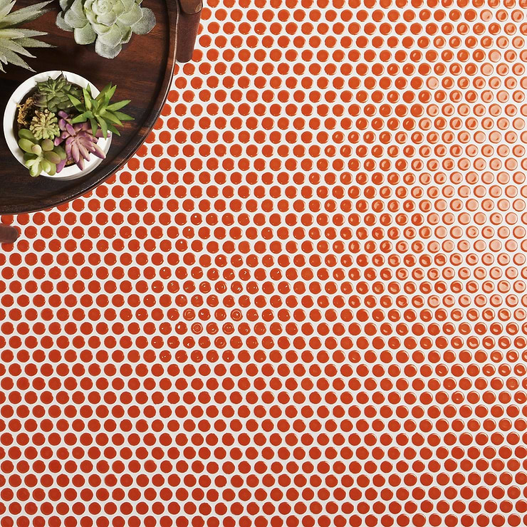 Eden Nectar Orange 1" Rimmed Penny Round Polished Porcelain Mosaic; in Orange Porcelain; for Backsplash, Floor Tile, Kitchen Floor, Kitchen Wall, Wall Tile, Bathroom Floor, Bathroom Wall, Shower Wall, Shower Floor, Outdoor Wall, Commercial Floor; in Style Ideas Beach, Classic, Contemporary, Mediterranean, Mid Century, Transitional, Tropical, Whimsical; released 2023; new, trends