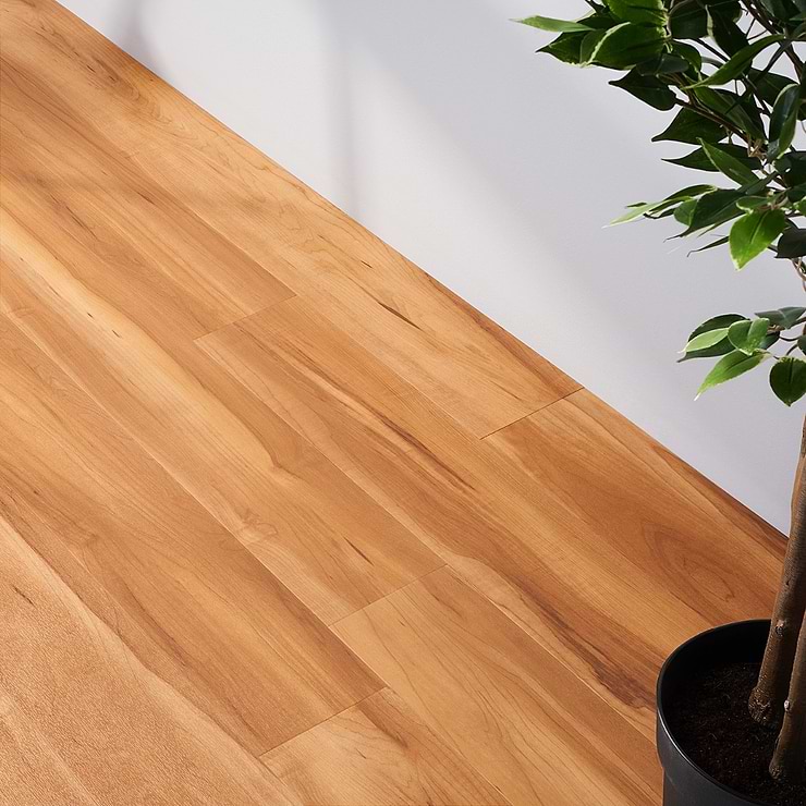 Katone Maple Honeysuckle Glue Down 6x48 Luxury Vinyl Plank Flooring