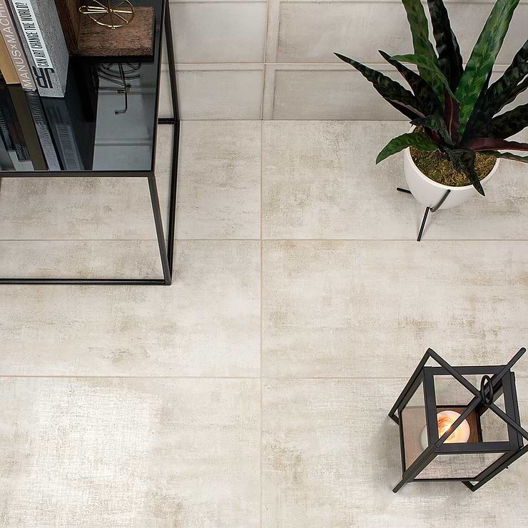Holland Ash 12x24 Polished Porcelain Tile