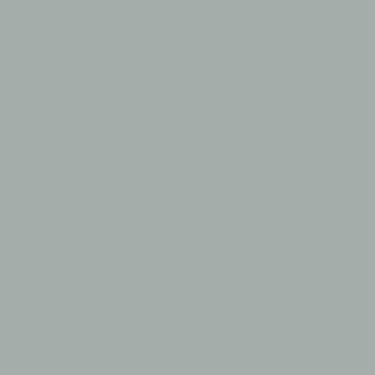 Laticrete Latasil Sterling Silver- 10.3oz Tube