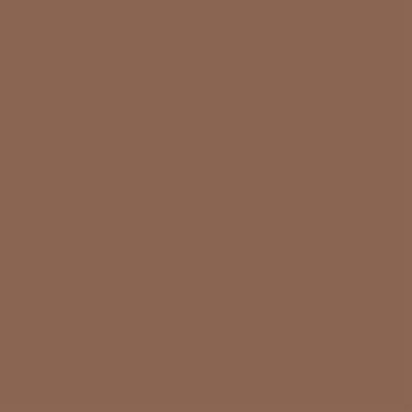 Laticrete Latasil Terra Cotta- 10.3oz Tube