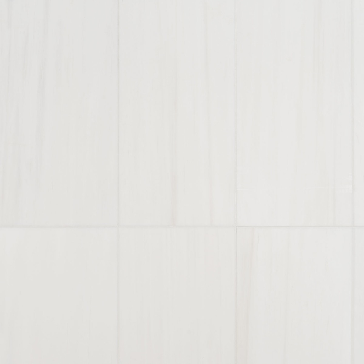 Bianco Dolomite White 12x24 Premium Honed Marble Tile