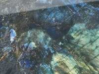Jewel Onyx Blue 24x48 Polished Porcelain Tile