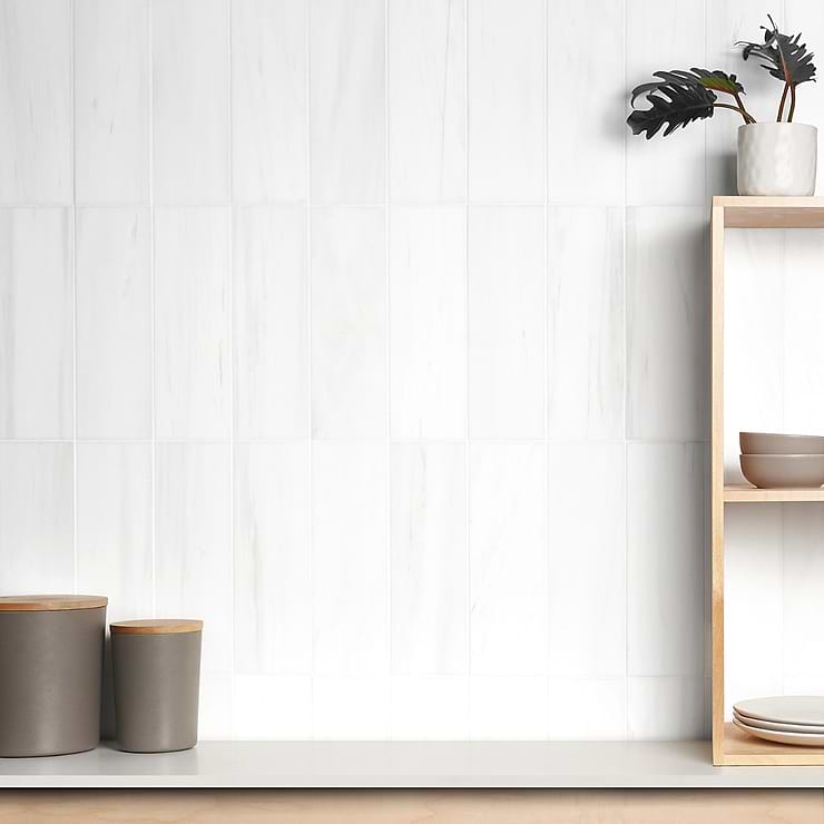 Bianco Dolomite White 4x12 Premium Honed Marble Tile