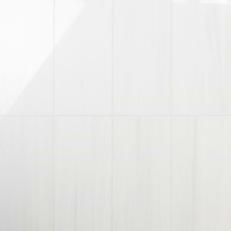 Bianco Dolomite White 12x24 Premium Polished Marble Tile