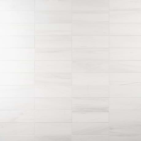 Bianco Dolomite White 4x12 Premium Honed Marble Tile