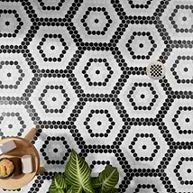 Juno Honeycomb Black and White 1" Hexagon Polished Marble Mosaic Tile