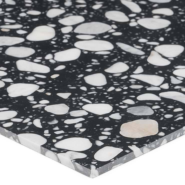 Terrazzo Italy Sacra Nero Black & White 24x24 Honed Terrazzo Tile