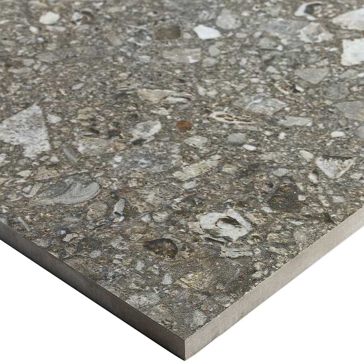 Rizo Antracite 24x24 Terrazzo Look Porcelain Tile