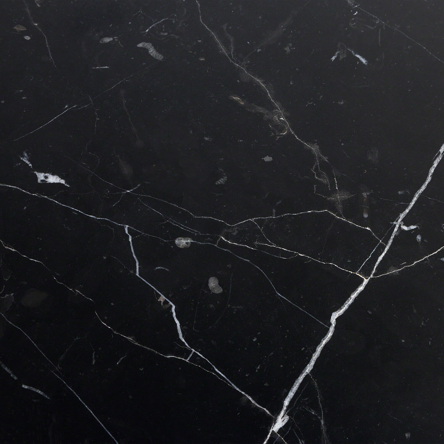 Nero Marquina 24x24 Polished Marble Tile