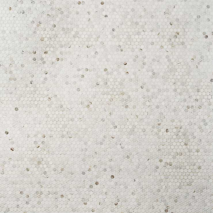 Alaska White 3/4" Penny round Polished Mosaic Tile