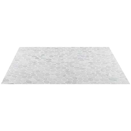 Nature Round XL Carrara Marble Honed Mosaic Tile