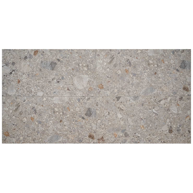 Rizo Earth Gray 24x48 Terrazzo Look Matte Porcelain Tile