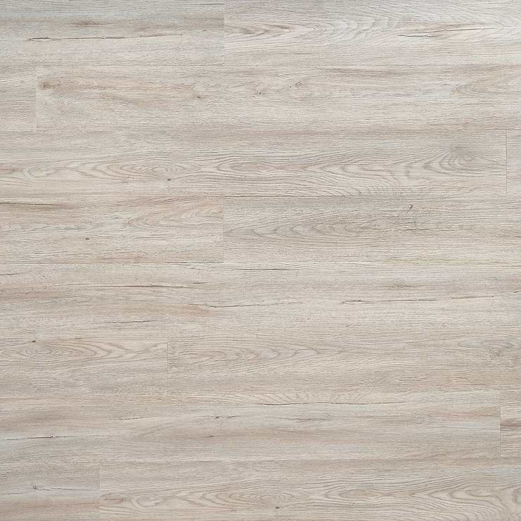 Katone Enchanted Oak Drift Glue Down 6x48 Luxury Vinyl Plank Flooring