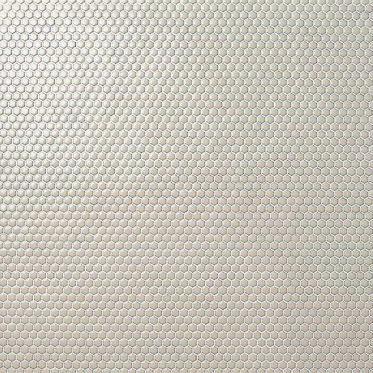 Eden Latte Beige Rimmed 1" Hexagon Polished Porcelain Mosaic