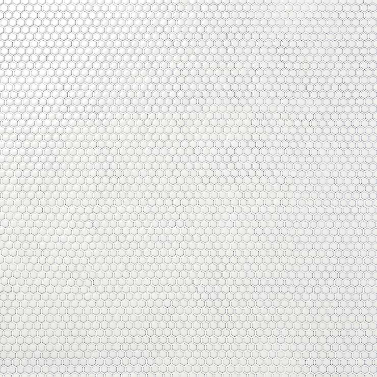 Eden Winter White Rimmed 1" Hexagon Polished Porcelain Mosaic