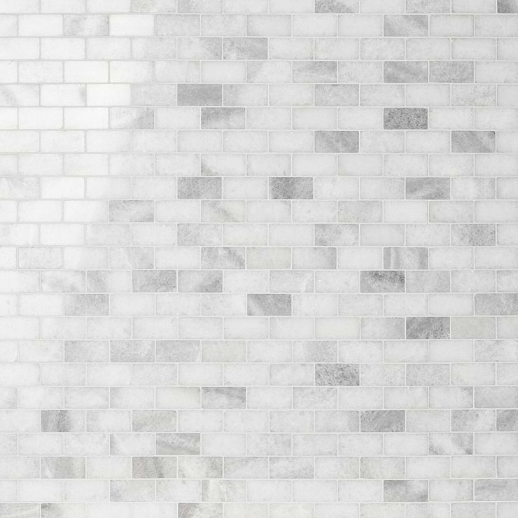 Biarritz White 1x2 Polished Marble Mosaic