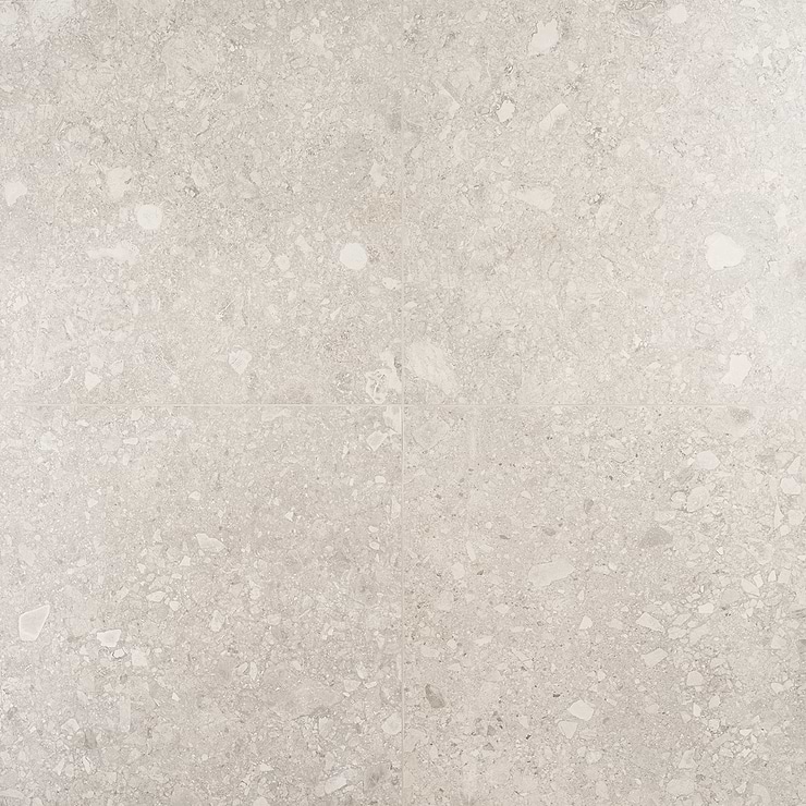 Rizo Gray 24x24 Terrazzo Look Matte Porcelain Tile