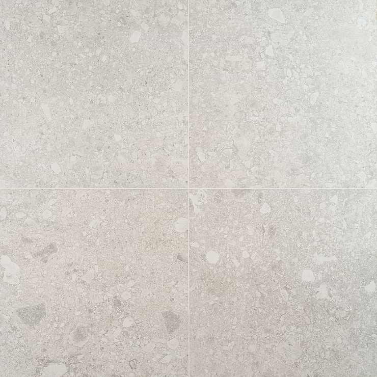 Rizo Silver Beige 24x24 Terrazzo Look Matte Porcelain Tile