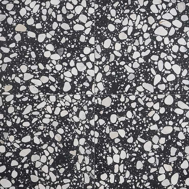 Terrazzo Italy Sacra Nero Black & White 24x24 Honed Terrazzo Tile