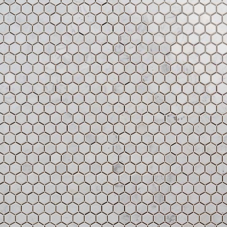 Florentine Asian Statuary & Athens White and Gray 2" Hexagon Polished Marble Mosaic Tile