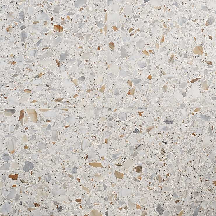 Terrazzo Italy Sacra Calacatta White 24x24 Honed Terrazzo Tile