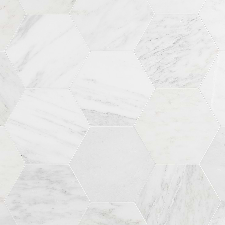 Asian Statuary 10" Hexagon Honed Marble Tile