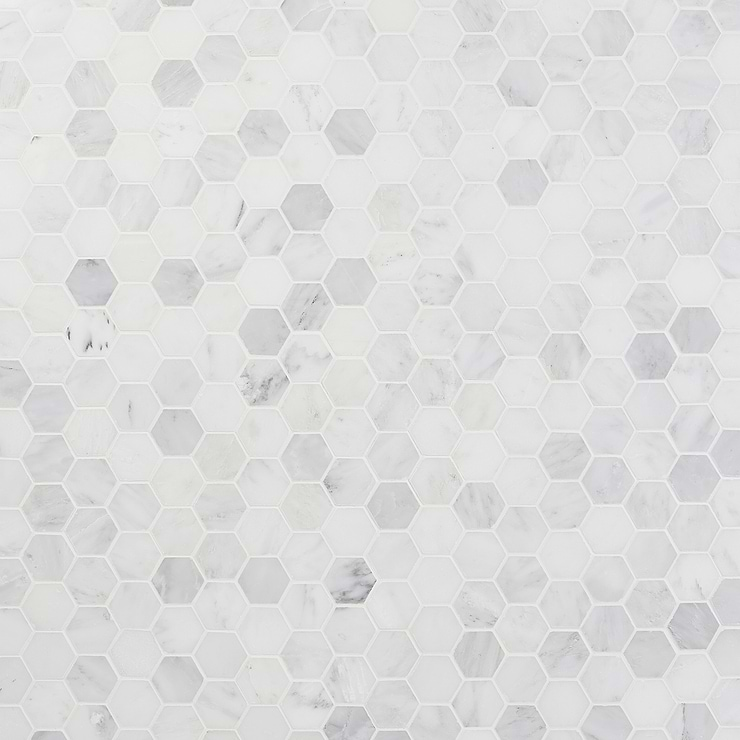 Asian Statuary 2" Hexagon Polished Marble Mosaic Tile