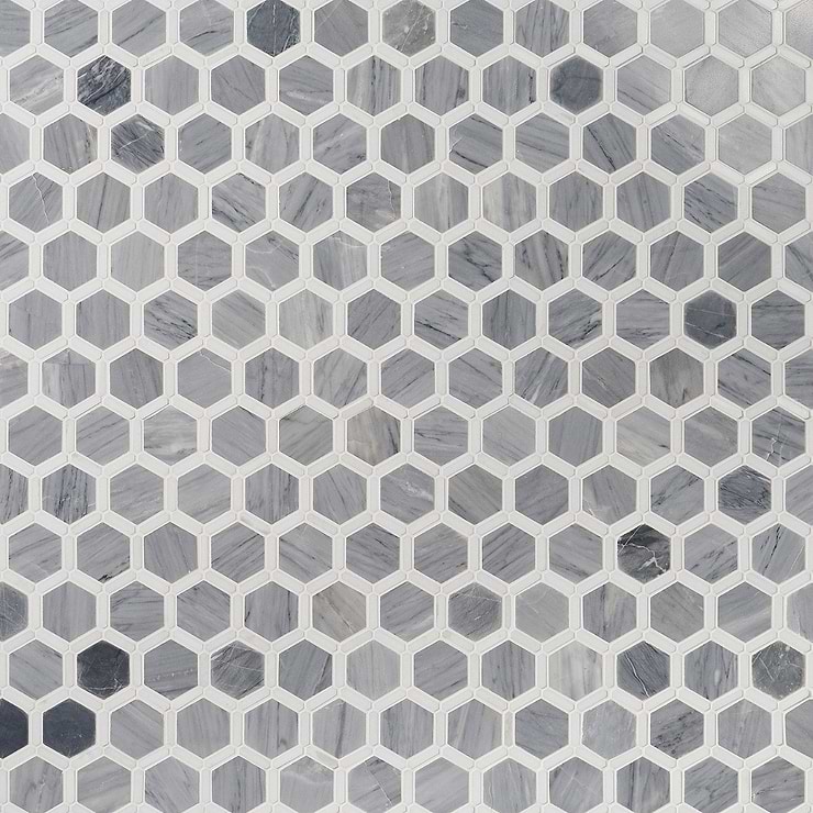 Florentine Halley Gray & White Thassos 2" Hexagon Polished Marble Mosaic Tile