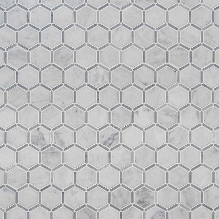 Florentine Carrara & Light Bardiglio Gray 2" Hexagon Polished Marble Mosaic Tile