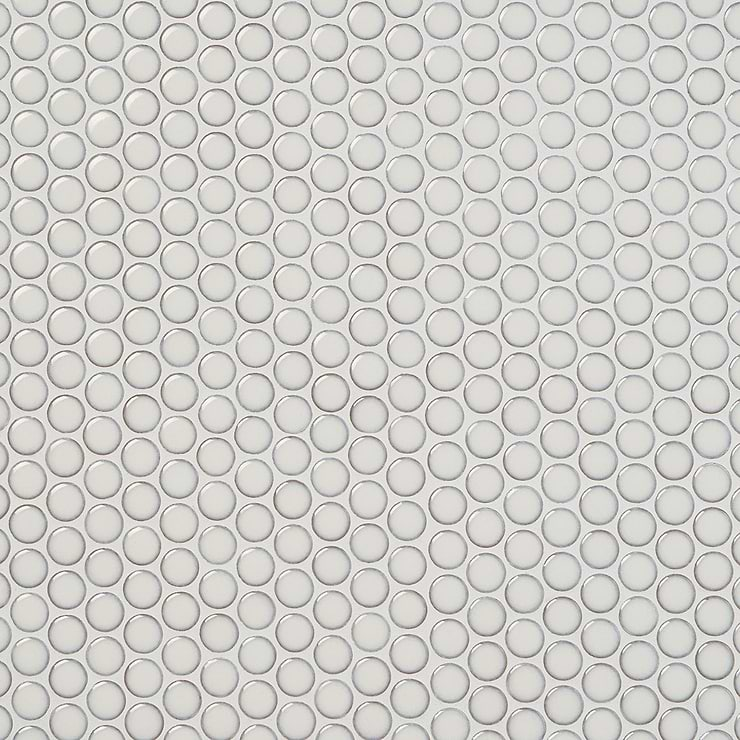 Nirvana Snow Rimmed 1" Penny Round White  Polished Porcelain Mosaic