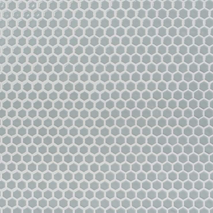 Eden Modern Gray Rimmed 1" Hexagon Polished Porcelain Mosaic