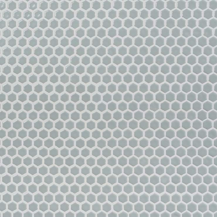 Eden Modern Gray Rimmed 1" Hexagon Polished Porcelain Mosaic