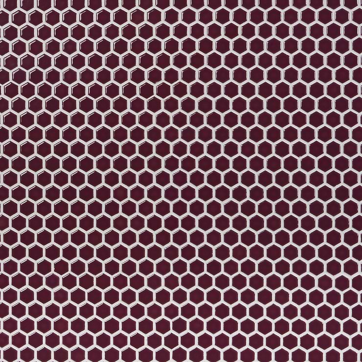 Eden Summer Plum Purple Rimmed 1" Hexagon Polished Porcelain Mosaic