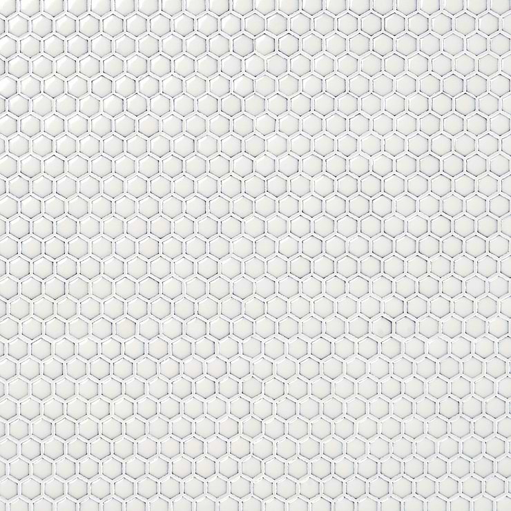 Eden Winter White Rimmed 1" Hexagon Polished Porcelain Mosaic