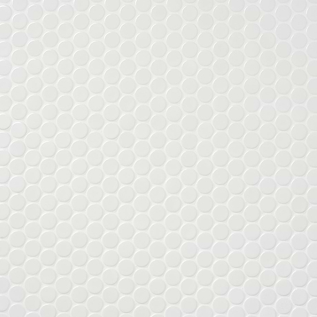 Paradise White 1" Penny Round Polished Porcelain Mosaic