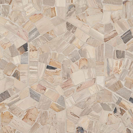 Fossil 10" Hexagon Petrified Stone Mosaic