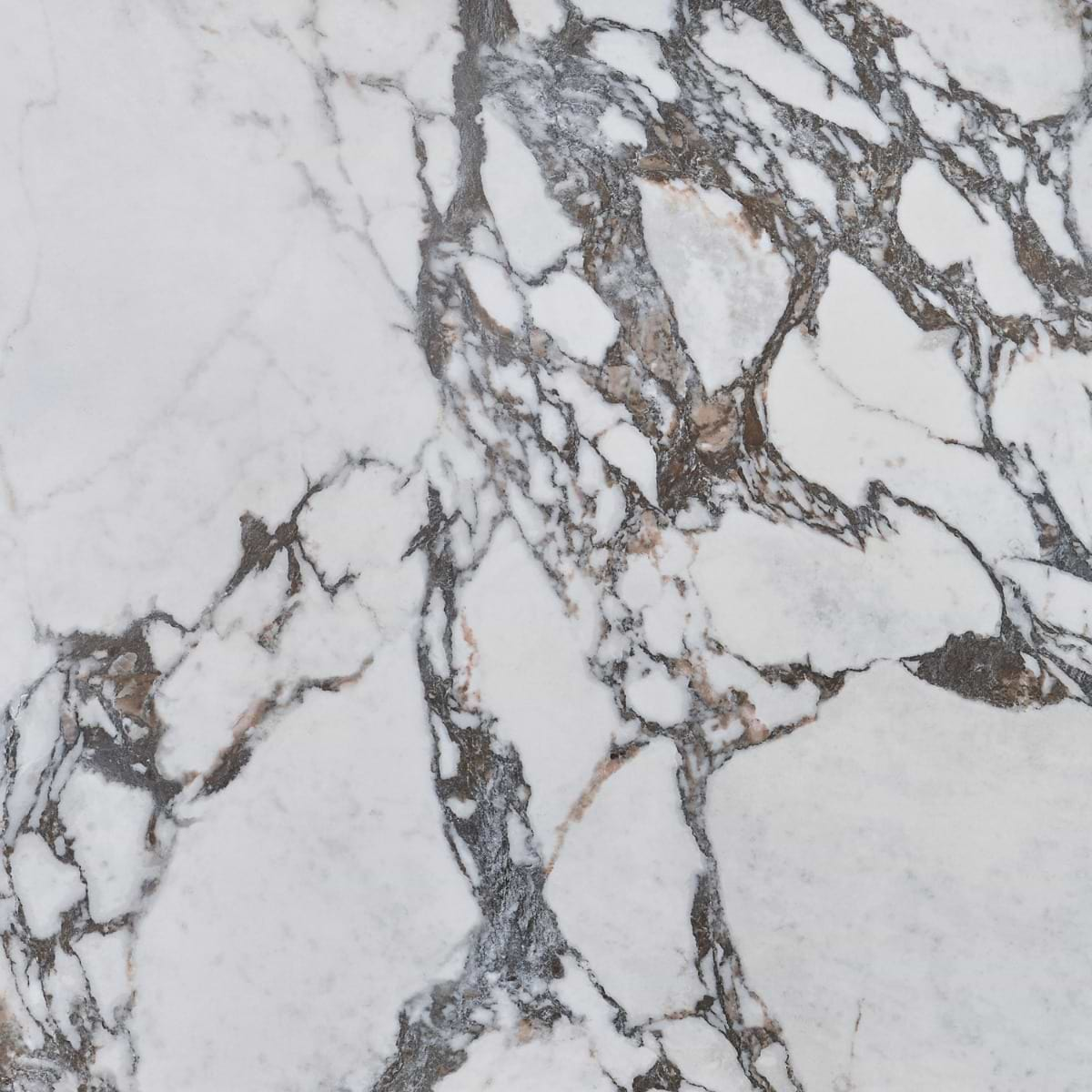 Autograph Arabescato White 48x48 Marble Look Satin Porcelain Tile