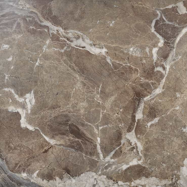 Autograph Espresso Brown 48x48 Marble Look Satin Porcelain Tile