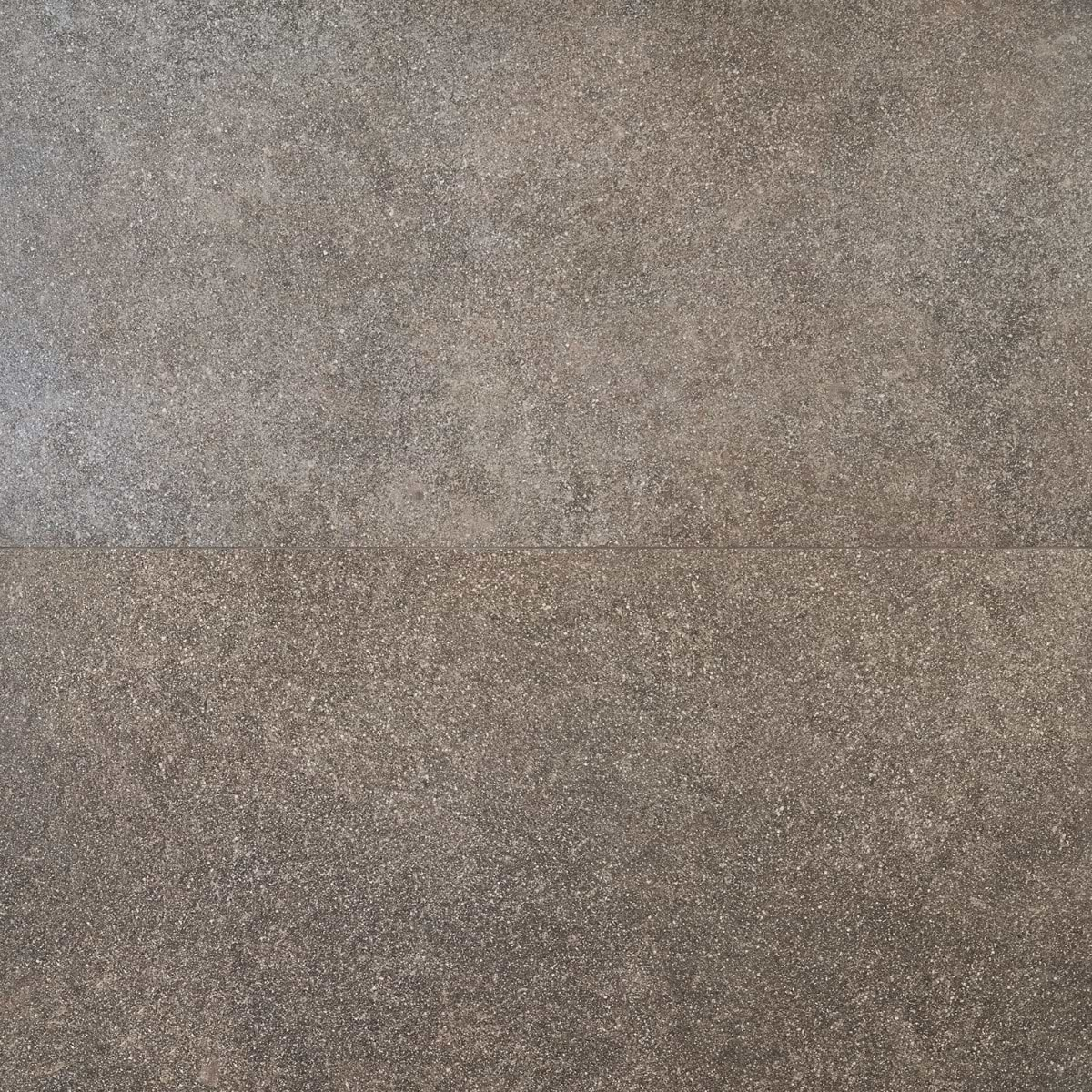 FusionTech Berlin Brown 24x48 Matte Porcelain Tile