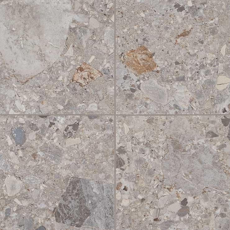 Rizo Earth Gray 24x48 Terrazzo Look Matte Porcelain Tile