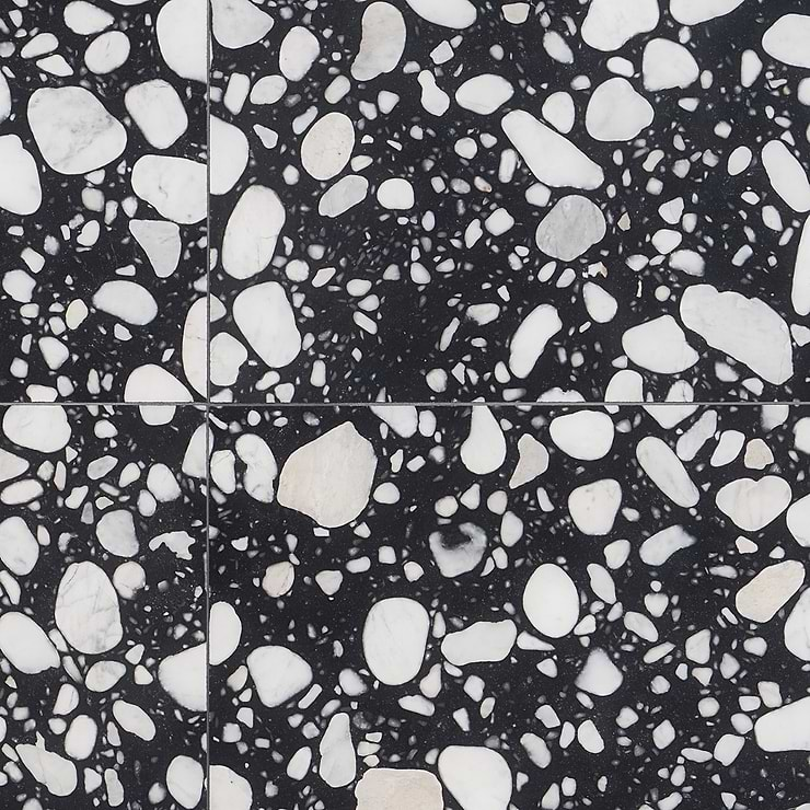 Terrazzo Italy Sacra Nero Black & White 24x24 Honed Terrazzo Tile