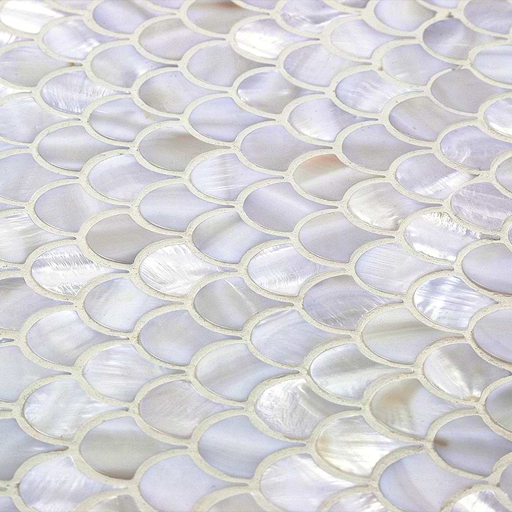 Oyster White Pearl Shells Tile