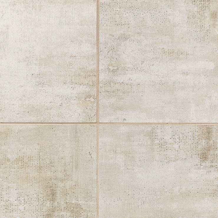 Holland Ash 12x24 Polished Porcelain Tile