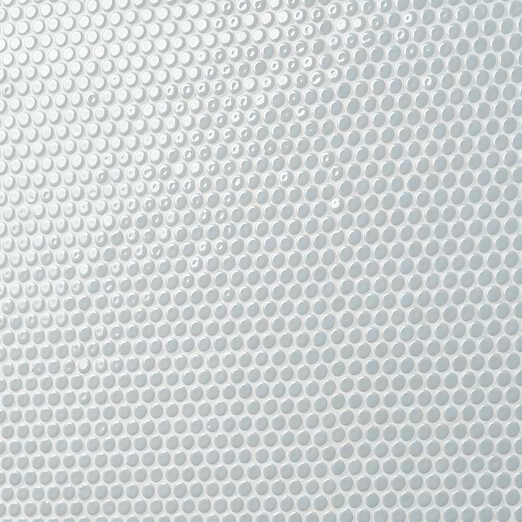 Eden Modern Gray Rimmed 1" Penny Round Polished Porcelain Mosaic