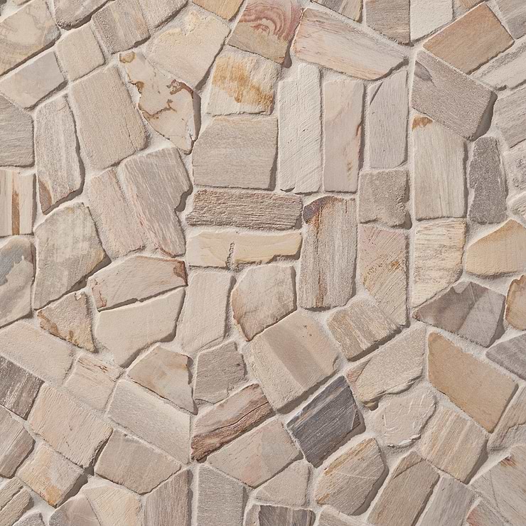 Fossil 10" Hexagon Petrified Stone Mosaic