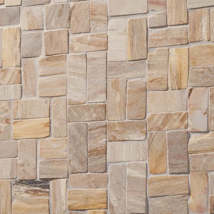 Fossil Antique Petrified Stone Mosaic