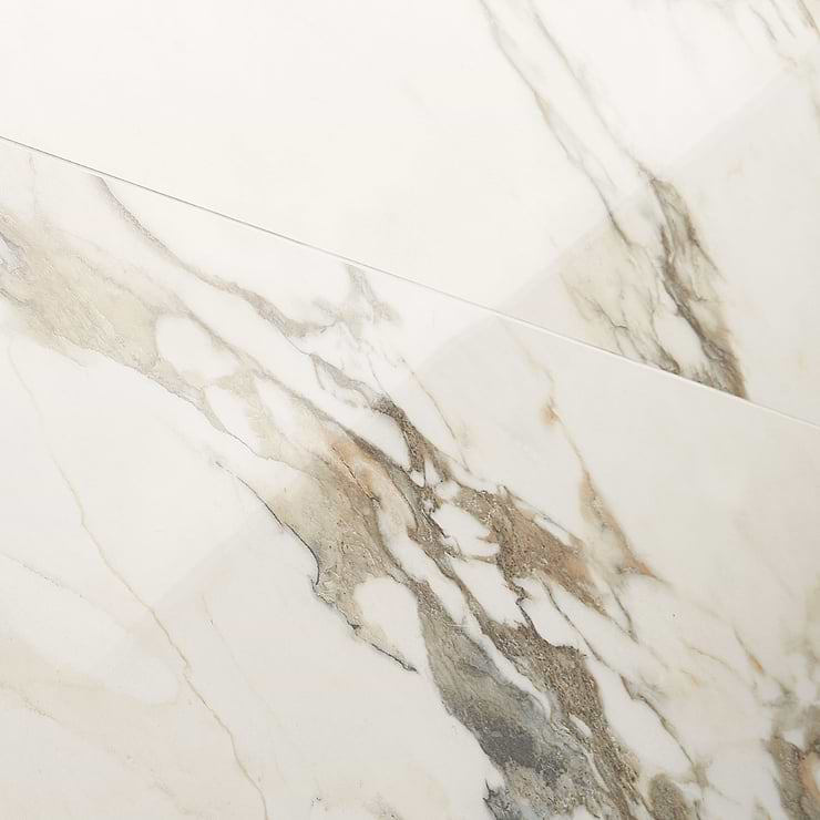 DreamStone Calacatta Rustico 24x48 Polished Porcelain Tile