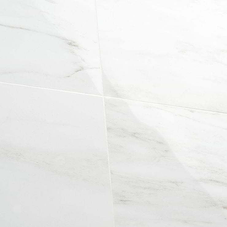 DreamStone Dolomite Snow 24x48 Polished Porcelain Tile