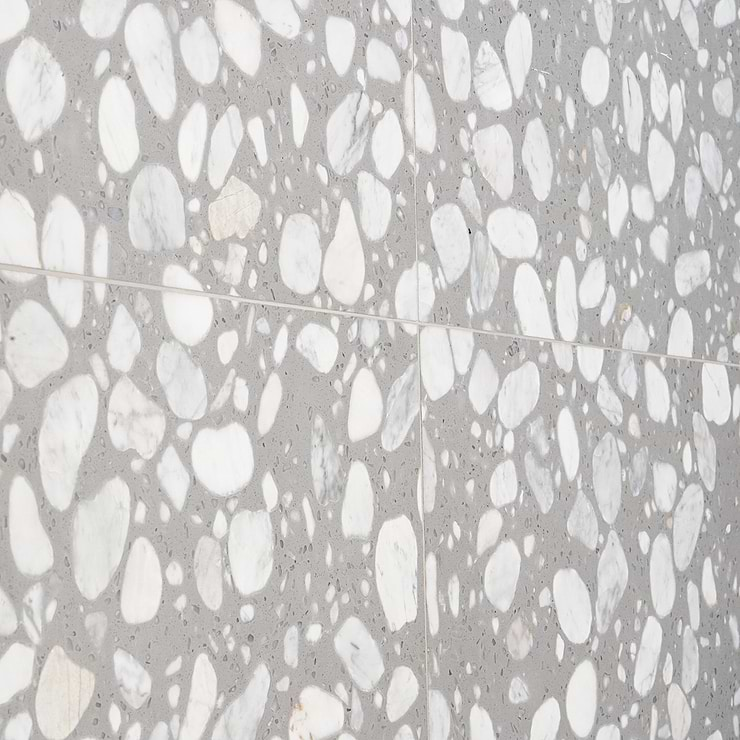 Terrazzo Italy Sacra Grigio Gray 24x24 Honed Terrazzo Tile